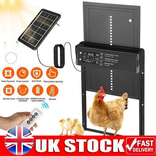 Automatic chicken coop door - chicken,