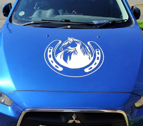 Large car camper van - large,