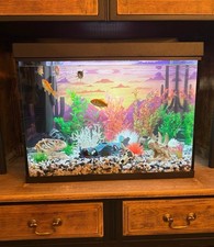 Tetra 80l led fish - 80l,