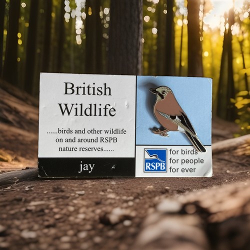 Rspb pin badge british - rspb-pin,