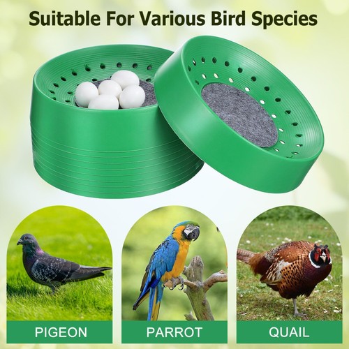 10pcs plastic pigeon - 10pcs,