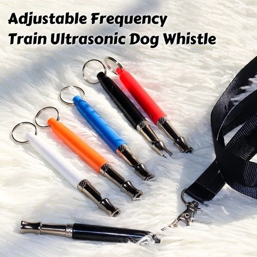 Ultrasonic silent recall dog - silent,