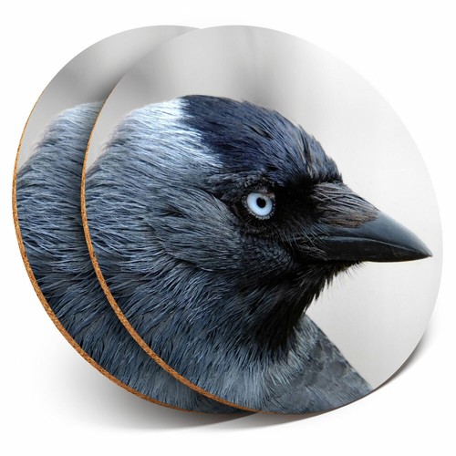 Coasters jackdaw bird - x,
