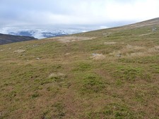 Photo 6x4 Argocat track above