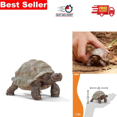Wild life giant - giant, tortoise