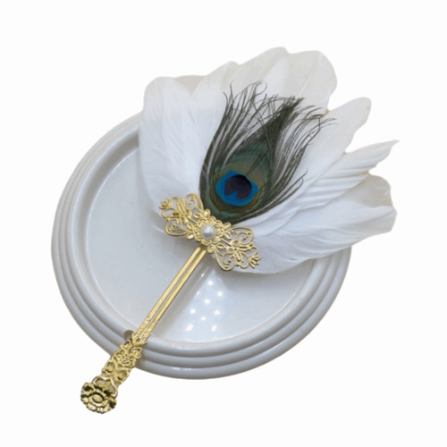 Peacock feathers feather hand - feathers,