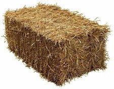 Wheat straw full size - wheat, bale