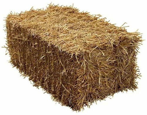 Wheat straw full size - wheat,