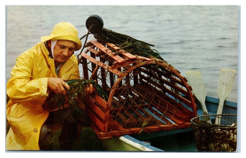Postcard atlantic coast - postcard:,