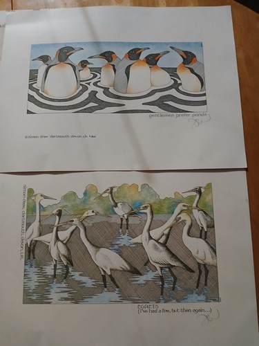 Simon drew egrets - drew, i've
