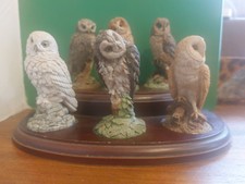Vtg 1994 Royal Doulton 6 Owl