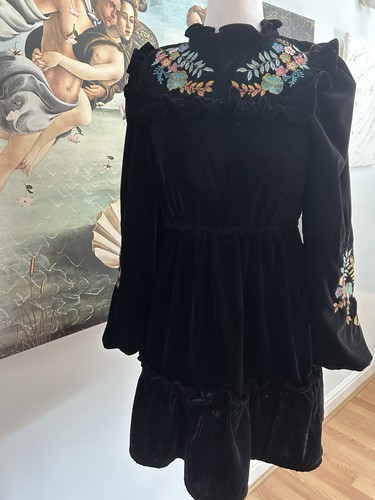 Victorian velvet dress size - dress,