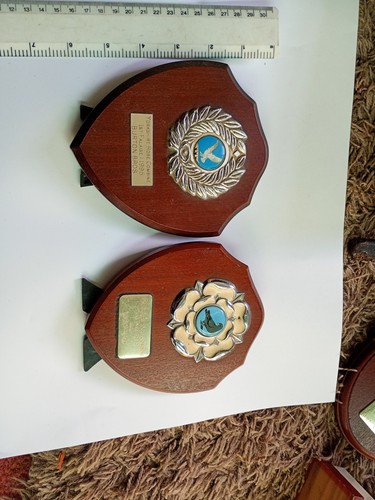 Pigeon racing shield 2 - pigeon,