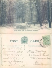 Snowy forest path Clacton on