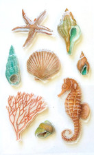 Glitter Summer Seashells 3D