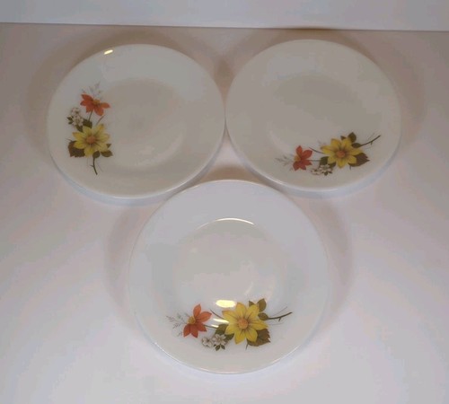 Jaj pyrex autumn - x,