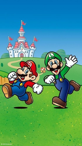 Mario luigi castle video - castle,