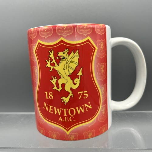 Newtown afc football club - football, the