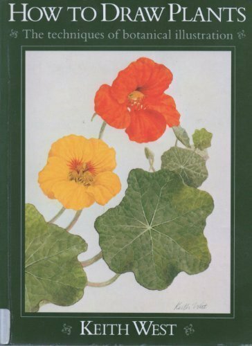 How draw plants the - to,