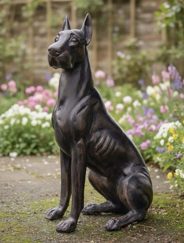 Dutch the great dane - great, dog