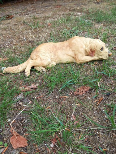 Labrador ornament inchs - 14,