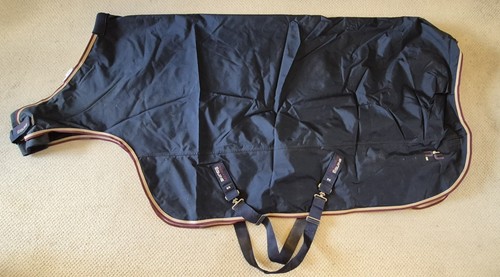 Premier equine horse - premier,