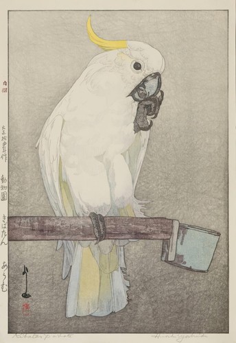 Hiroshi yoshida - yoshida, –