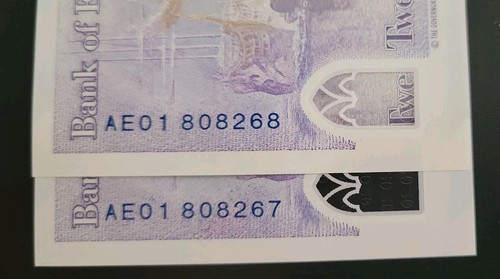 Polymer twenty pound note - 20,
