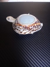 Vintage Cowrie Shell Tortoise
