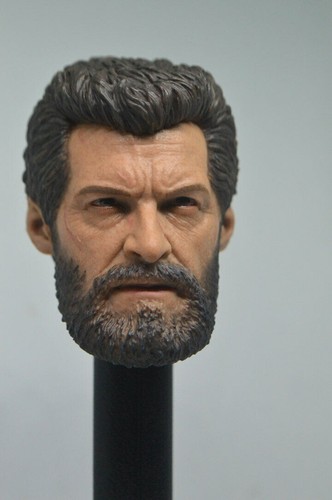 Eleven hot scale logan - 1/6,