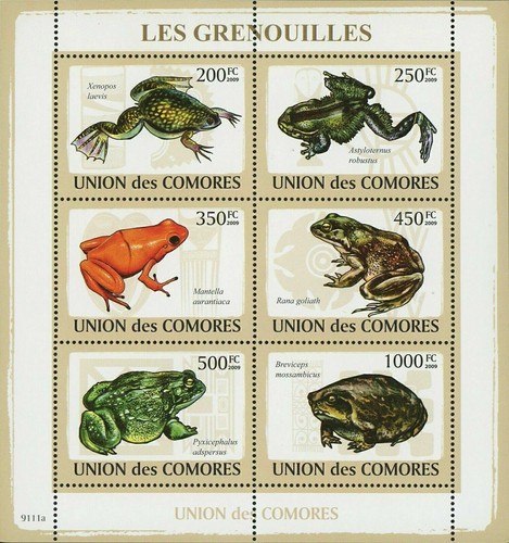 Frogs stamp xenopus laevis - stamp,