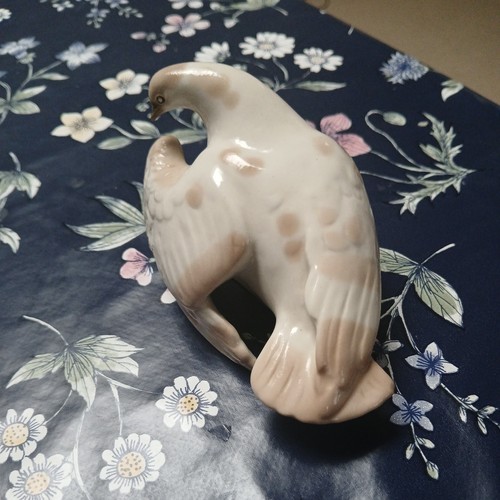 Lomonosov russian dove - lomonosov,