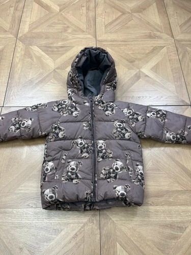 Boys next teddy - , bear