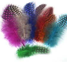 ATST® Coloured Spotty Feathers - Polkadot Small Colour Craft or Hat Feathers