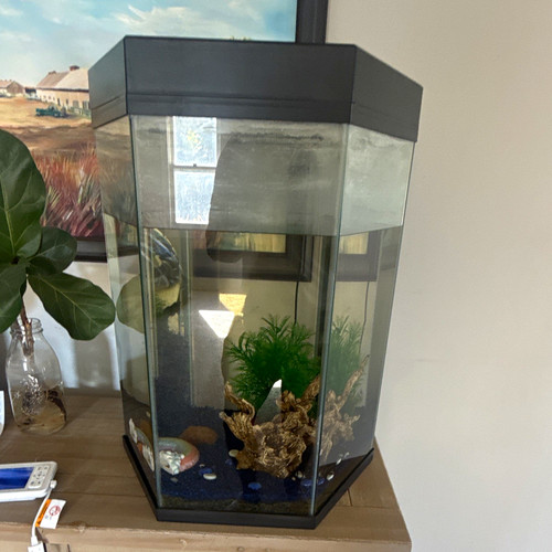 Hexagon glass gal aquarium - glass, 10