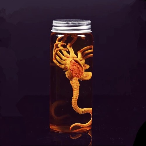 Alien jar xenomorph specimen - alien,
