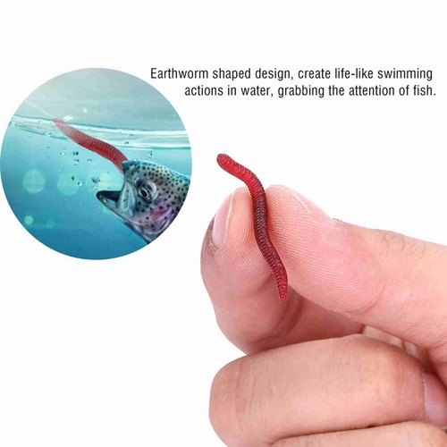 Earthworm bait tackle - earthworm,
