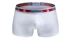 Aussiebum Underwear Puncher