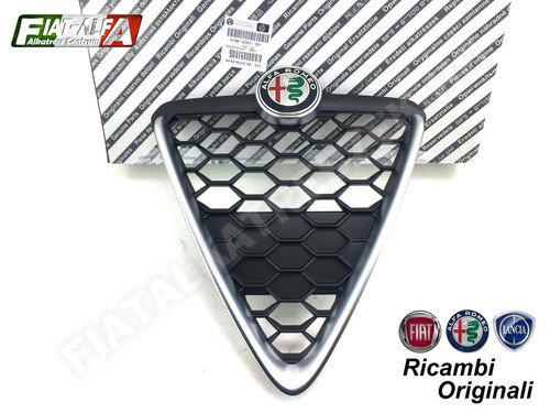 Radiator grill with emblem - radiator,