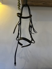 Small Pony Bridle,  Elevator