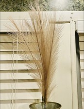Pampas Grass Pick, 28”