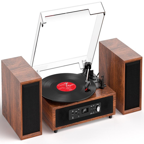 Tanlanin vinyl record player - record,