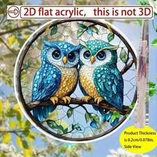 Two Cute Owls on Branch Birds