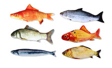 Interactive Stuffed Fish Toy