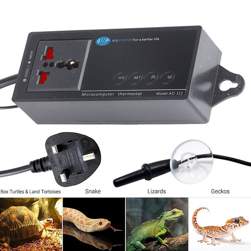 Fits lizard digital reptile - fits,