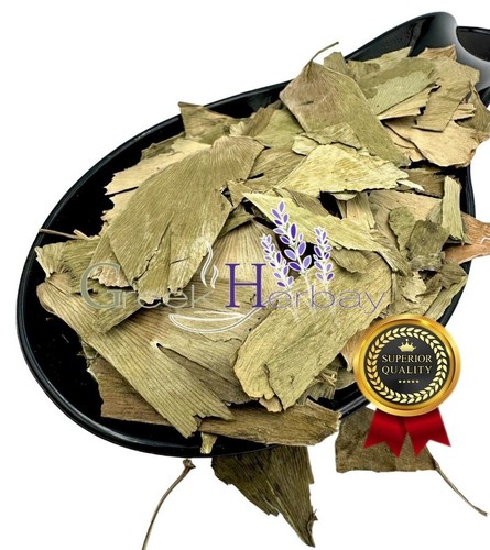Ginkgo biloba ginko herb - biloba,