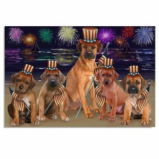 Rhodesian Ridgeback Dogs
