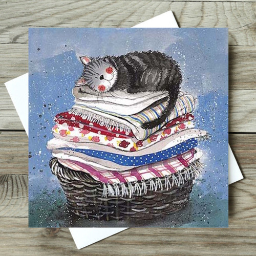 Funny cat greeting card - funny,