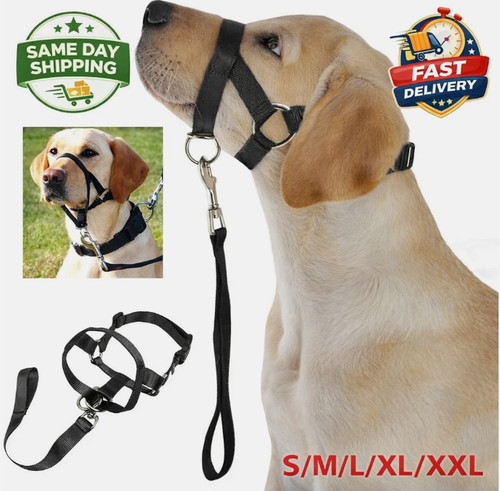 Halti headcollar non - pull, dog