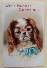 Beautiful Dog Postcard